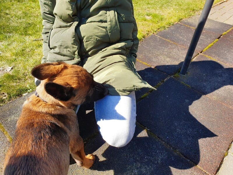 bijten puppy afleren