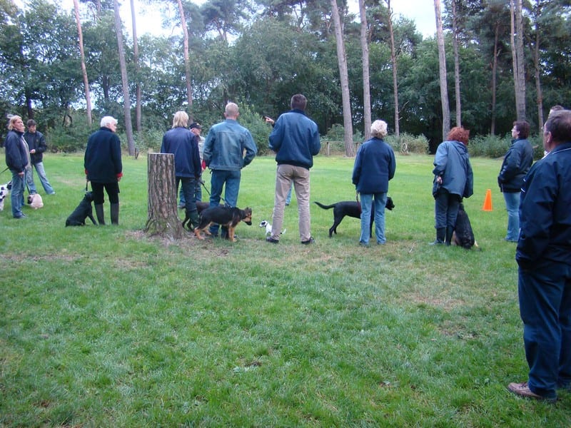 Hoe vaak moet een puppy naar buiten?