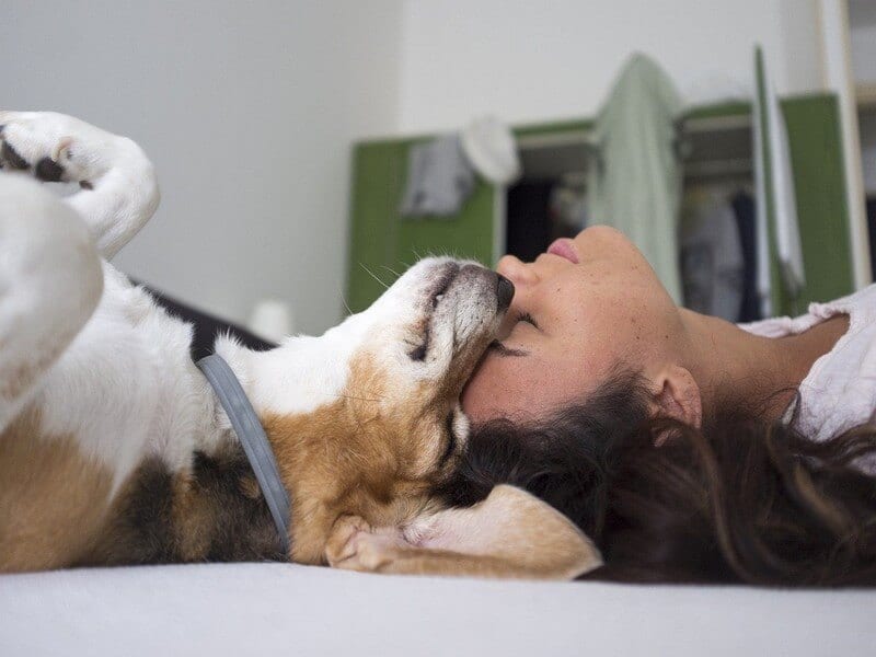 Hoe vaak moet een puppy naar buiten?