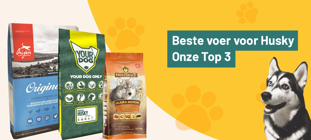 Het Beste voer voor je Husky Pup: Onze Top 3 [koopgids]