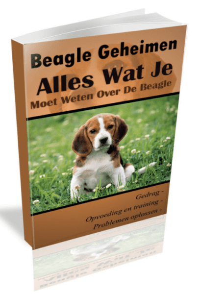 Beagle Geheimen Review