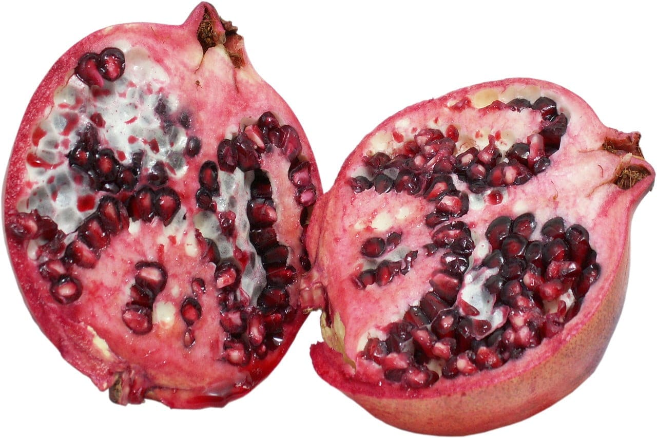 Pitten in appels of peren zijn giftig voor honden