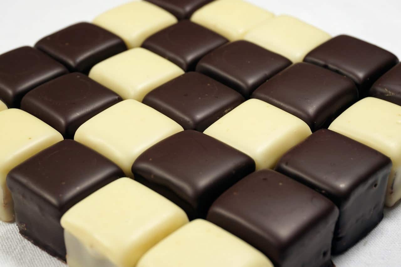Chocolade is giftig voor honden