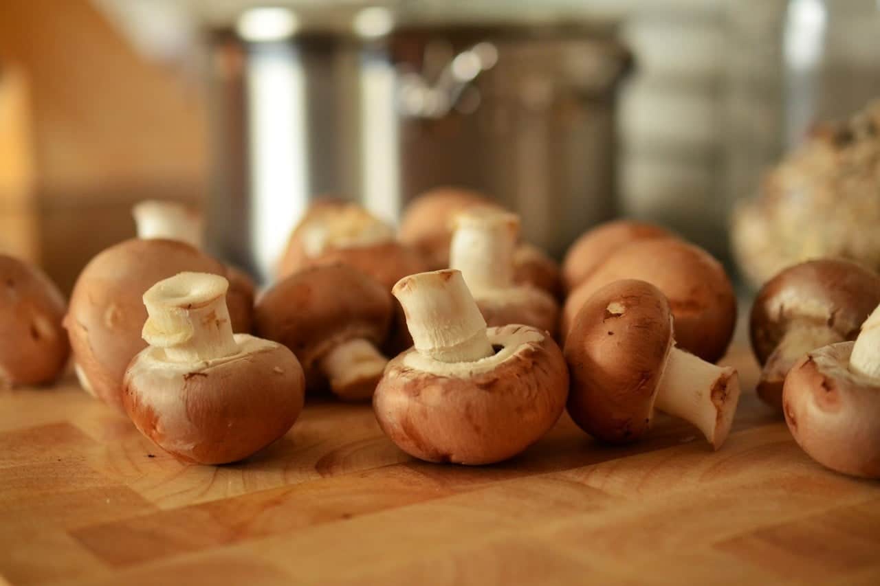 Paddestoelen zeer giftig voor honden