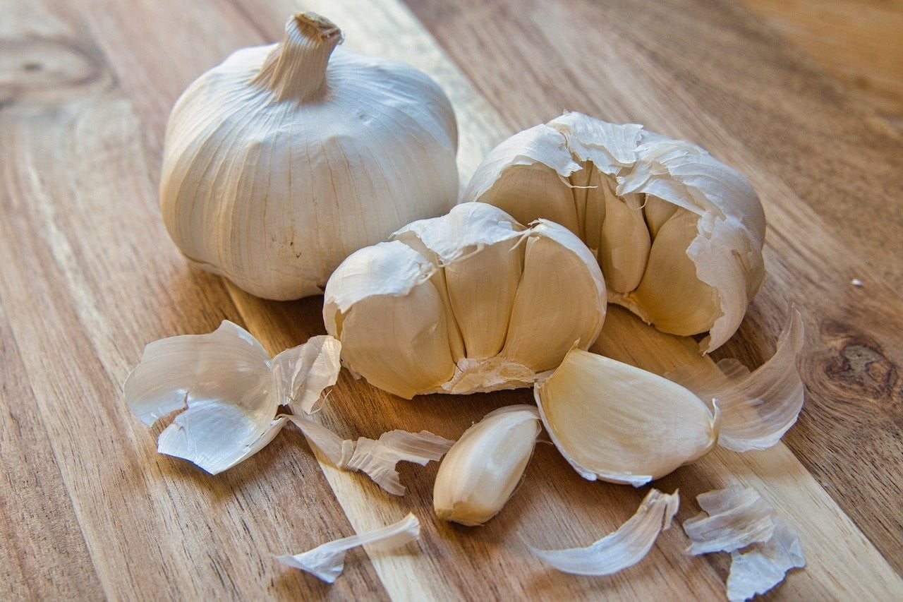 Knoflook is giftig voor honden