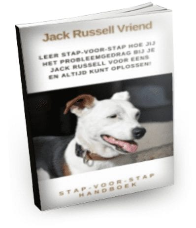 Jack Russell Geheimen Review - Is het de moeite waard?