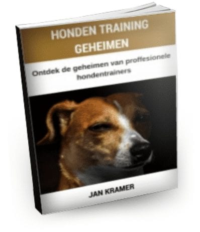 Jack Russell Geheimen Review - Is het de moeite waard?