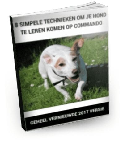 Jack Russell Geheimen Review - Is het de moeite waard?