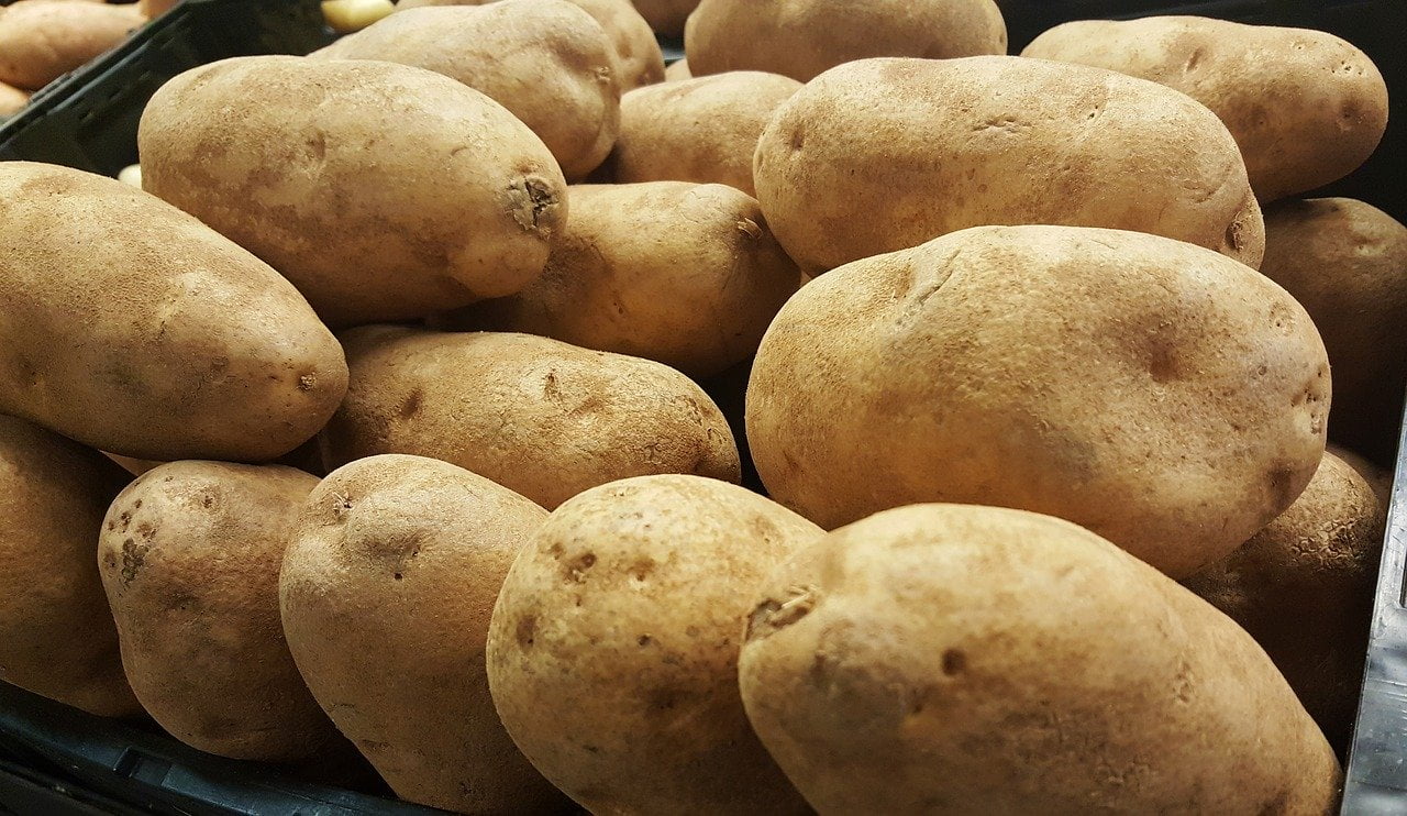 Aardappelen zijn zeer giftig voor honden
