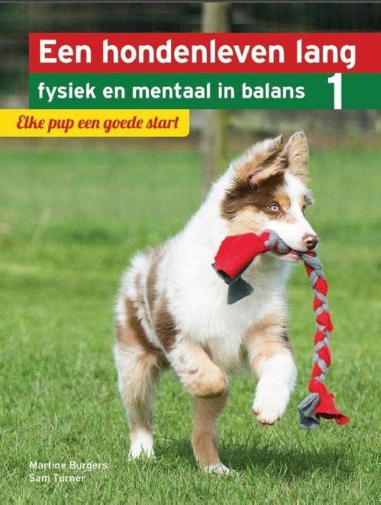 Beste hondenboeken voor puppy’s – een top 3