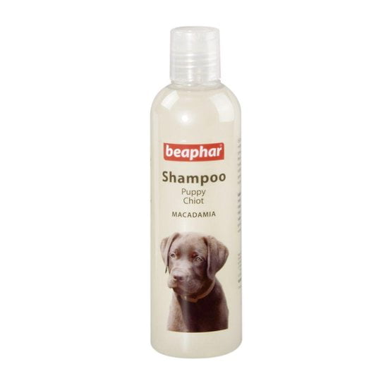 Beste Puppy Shampoo voor je pup! Top 3 beste honden shampoo