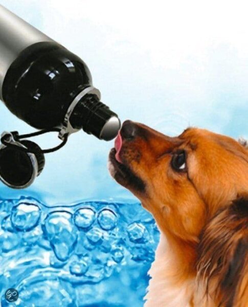 Beste drinkfles voor je hond - Onze top 3