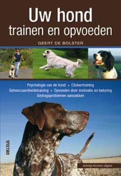 Beste Honden Cursus – Top 3 beste cursussen om je hond te trainen