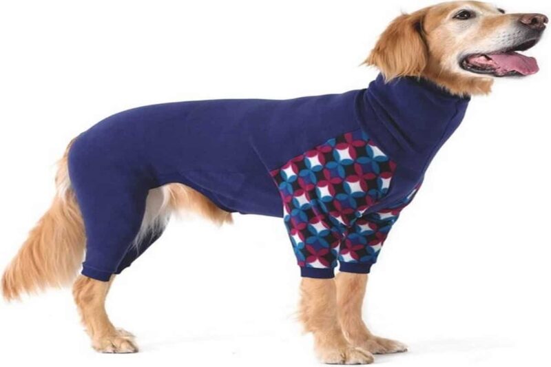 Beste onesie voor honden – De top 3 beste Onesies voor je hond