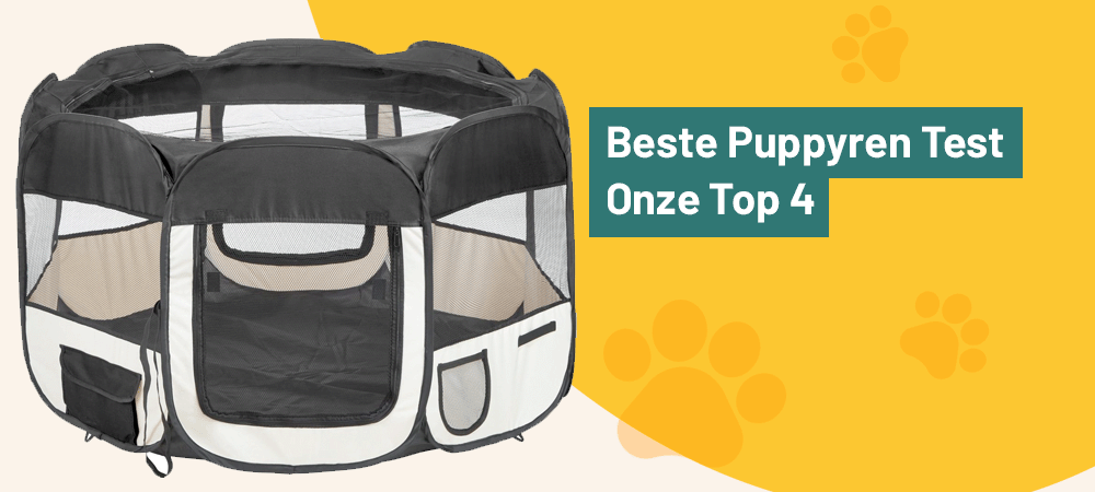 4x De Beste Puppyren Getest & Beoordeeld [2022]