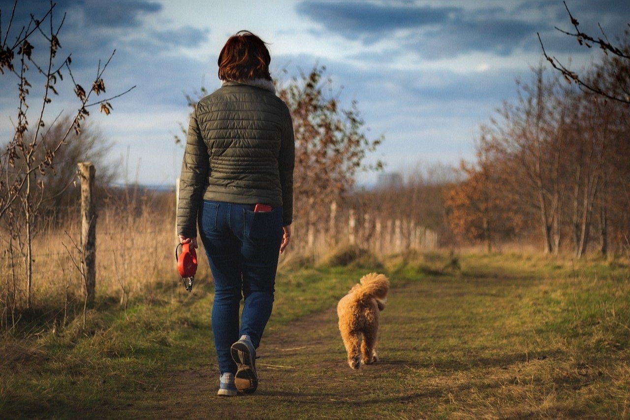 Waar mag je wandelen met je hond? - Top 3 plekken in Nederland!