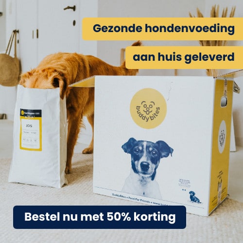 De beste voeding voor je hond