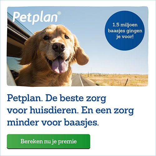 Petplan hondenverzekering review