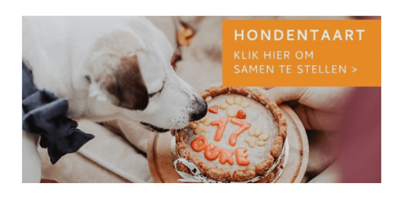 De heerlijkste hondentaarten en cupcakes van Doggi