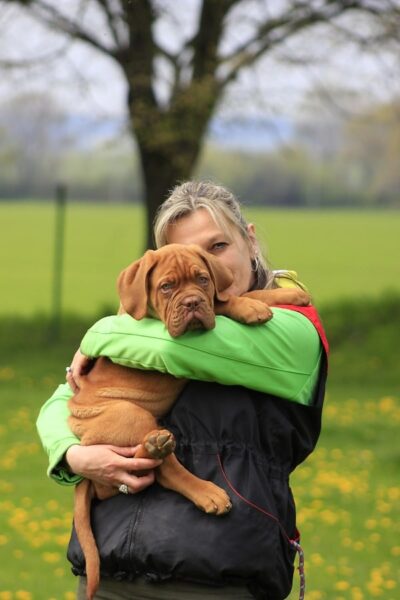 Wat je wel en niet moet doen bij het opvoeden van een puppy