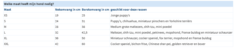 Beste halsband voor Jack Russel – Top 5
