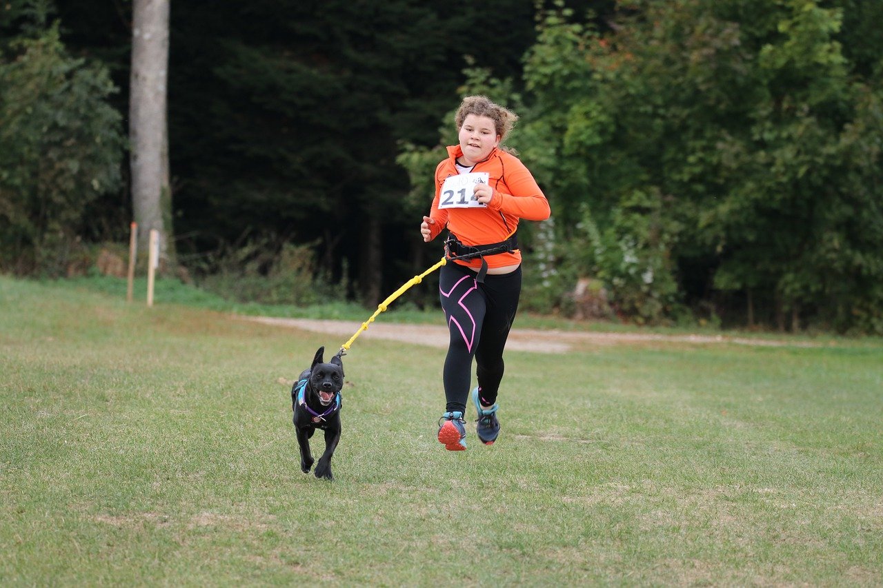 Canicross – Top 3 items voor hardlopen met je hond!