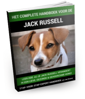 Het complete handboek voor de jack russell