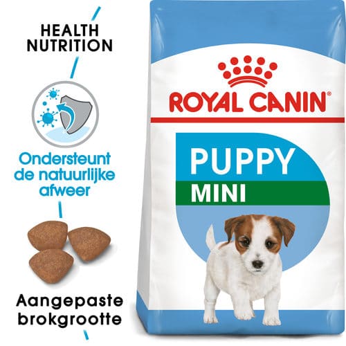 Welke voeding voor een Jack Russel pup?