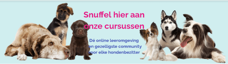 Puppypower cursus van Loca