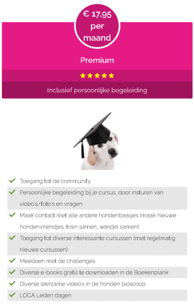 Puppypower cursus van Maanen LOCA - Spelenderwijs je pup opvoeden!