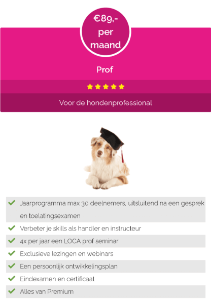 Puppypower cursus van Maanen LOCA - Spelenderwijs je pup opvoeden!