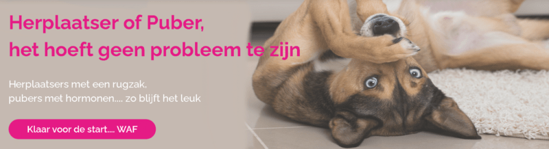 Puppypower cursus van Maanen LOCA - Spelenderwijs je pup opvoeden!