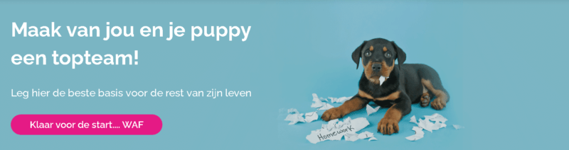 Puppypower cursus van Maanen LOCA - Spelenderwijs je pup opvoeden!