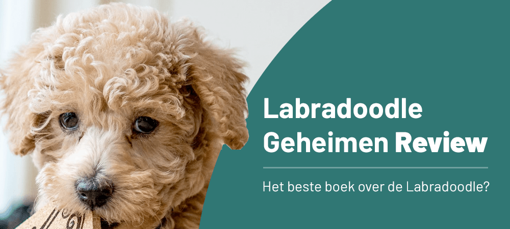 Labradoodle Geheimen Review: Hét boek voor Labradoodle baasjes. Mijn Ervaring, Kortingscode & Meer!