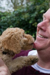 Piet de Jong van Labradoodle Geheimen