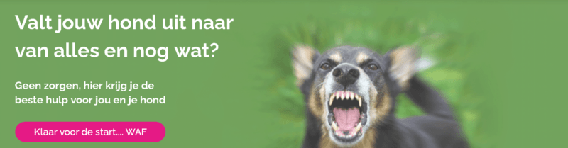 Puppypower cursus van Loca - is het de moeite waard?