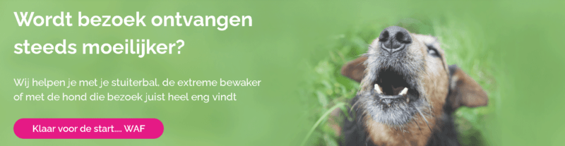 Puppypower cursus van Loca - is het de moeite waard?