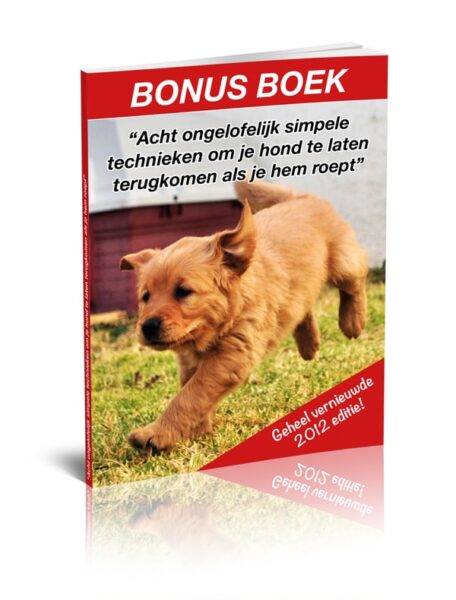 Labrador kopen? Lees eerst dit handboek! Labrador kopen? Lees eerst dit handboek!