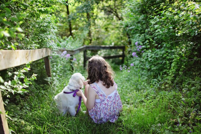 Hoe snel hoort een puppy te ademen?