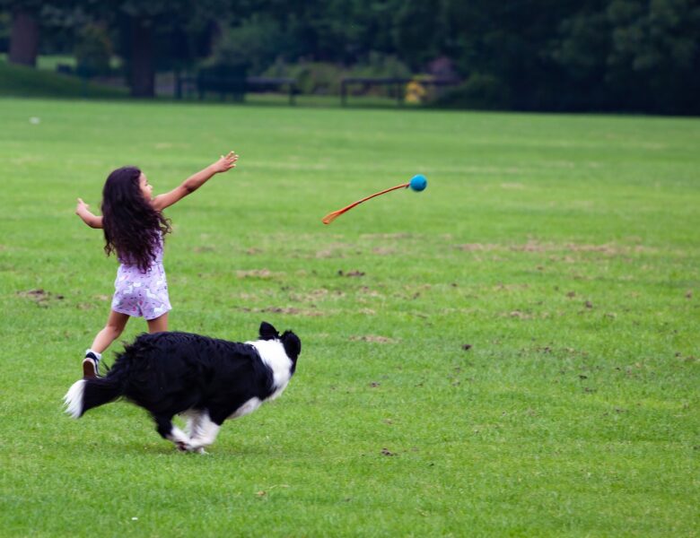 Hoe vaak moet ik een puppy uitlaten?