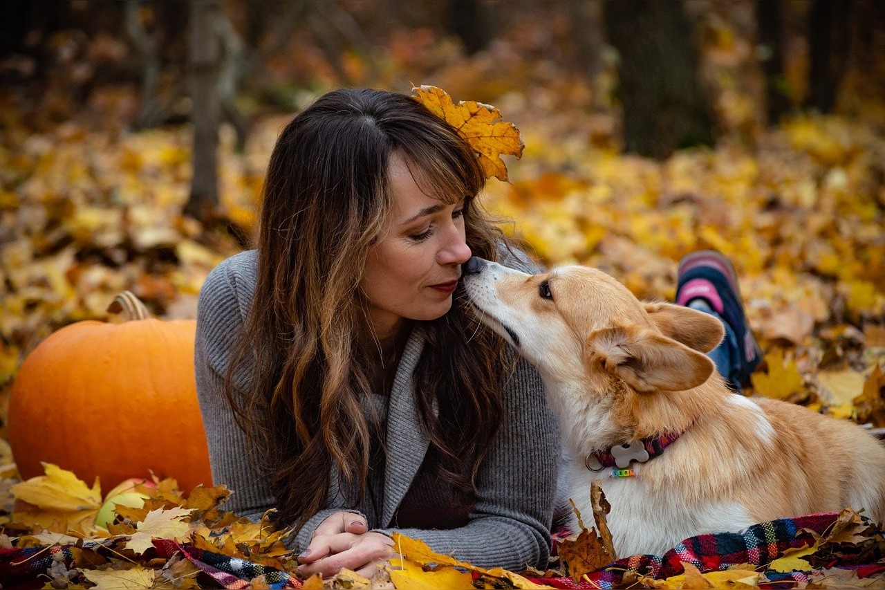 Hoe ziet een hond? – Alles over het zicht van honden!