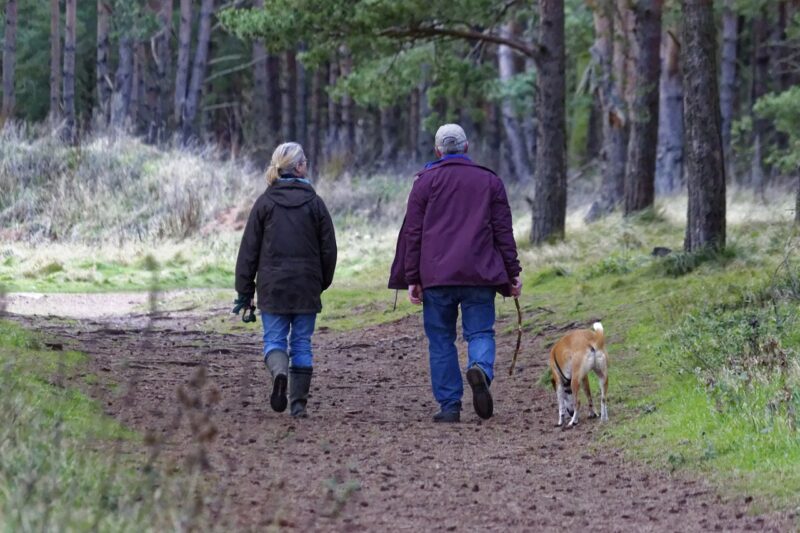 Hoe vaak je hond uitlaten?