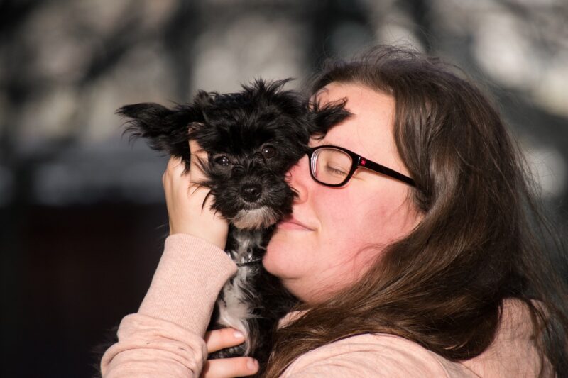 Hoe ziet een hond? – Alles over het zicht van honden!