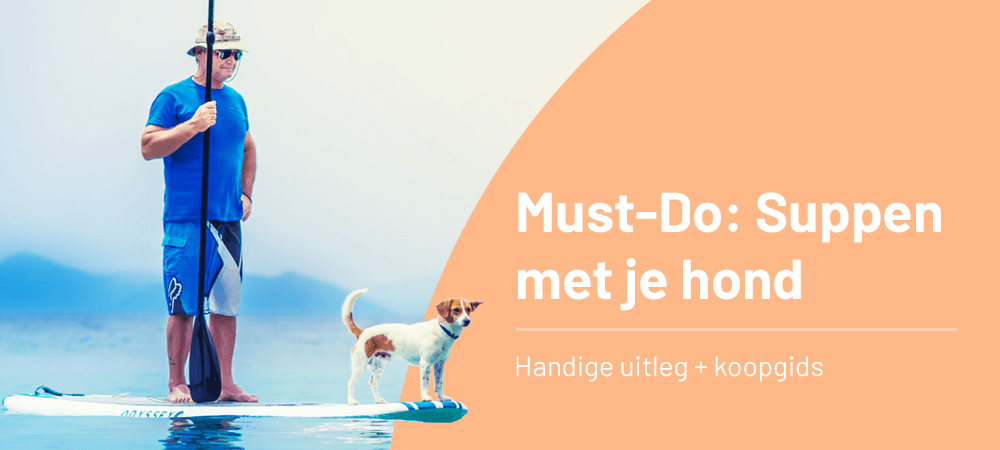 Suppen met je hond: alles wat je moet weten over deze toffe activiteit!