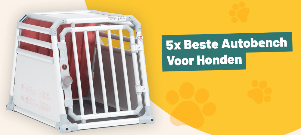 5x de beste autobench voor honden: review, getest & handige koopgids!